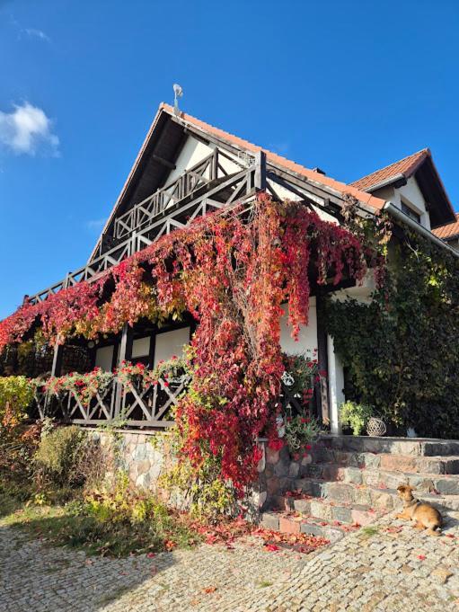 Pensjonat Rybaczowka - Noclegi, Restauracja, Port Bogaczewo  Dış mekan fotoğraf